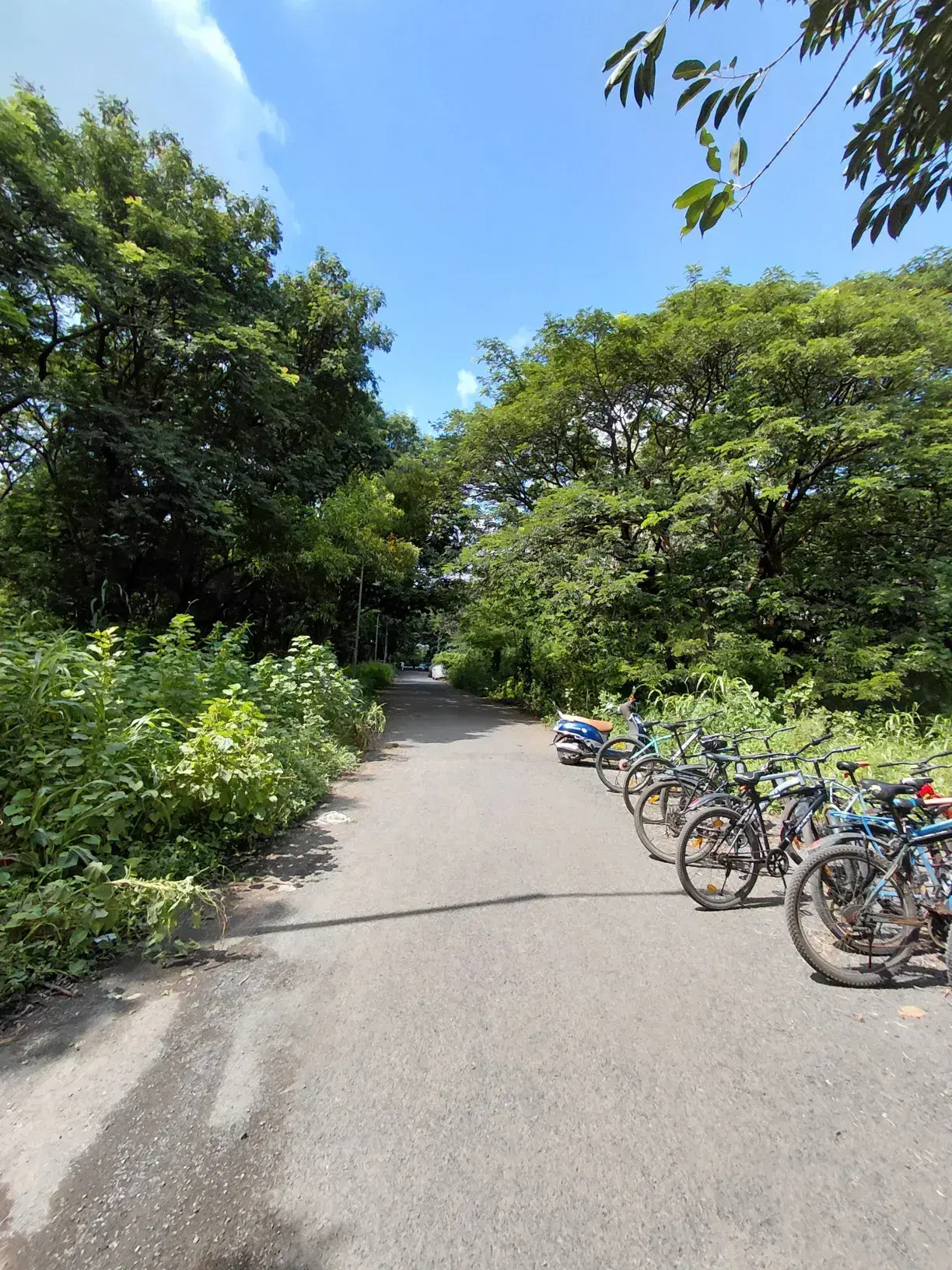 NIT Surat Academic Building photo 29